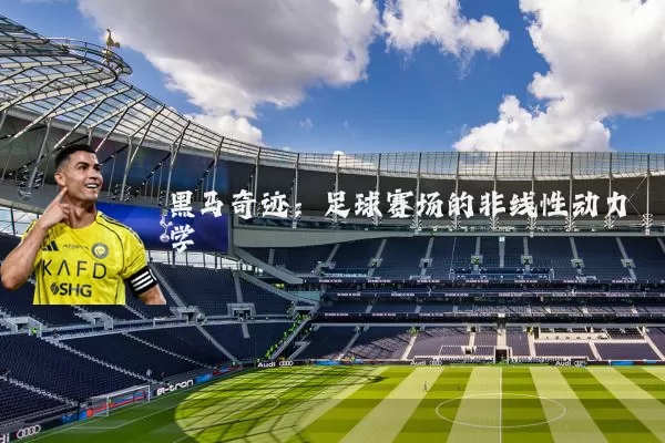 黑马奇迹：足球赛场的非线性动力学